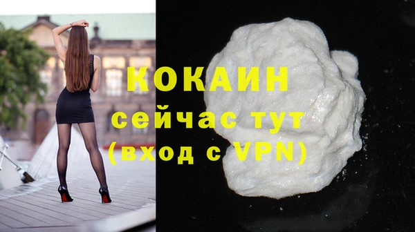 дживик Бронницы