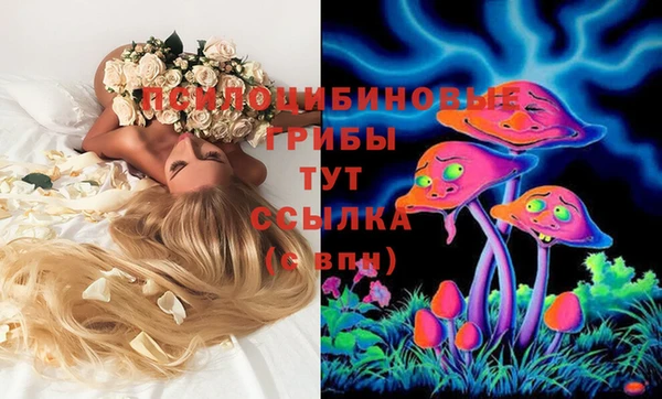 spice Бородино