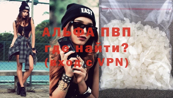 spice Бородино