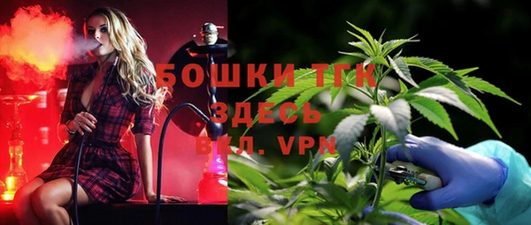 дживик Бронницы