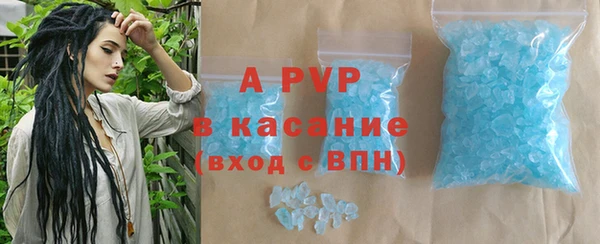 spice Бородино