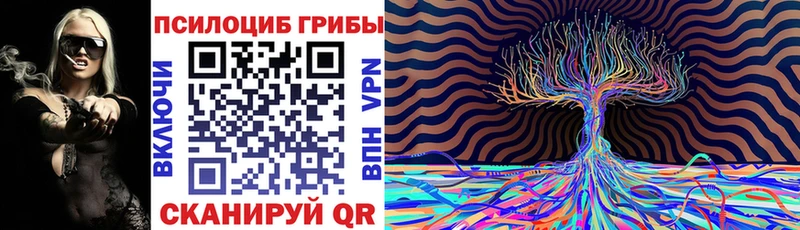 где продают наркотики  Медногорск  Псилоцибиновые грибы прущие грибы 
