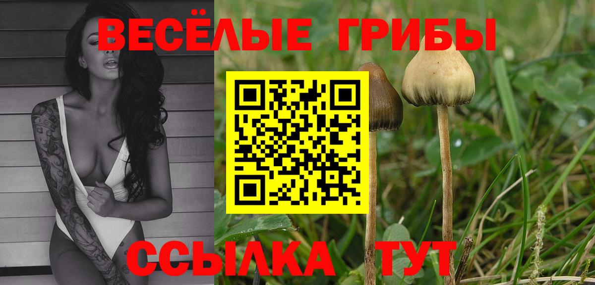 Псилоцибиновые грибы прущие грибы Медногорск